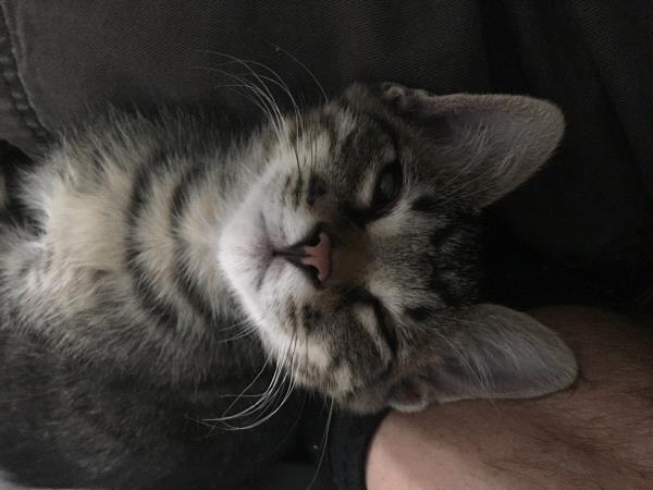 /Images/uploads/Humane Society of Utah/HSUCalendar/entries/1167thumb.jpg